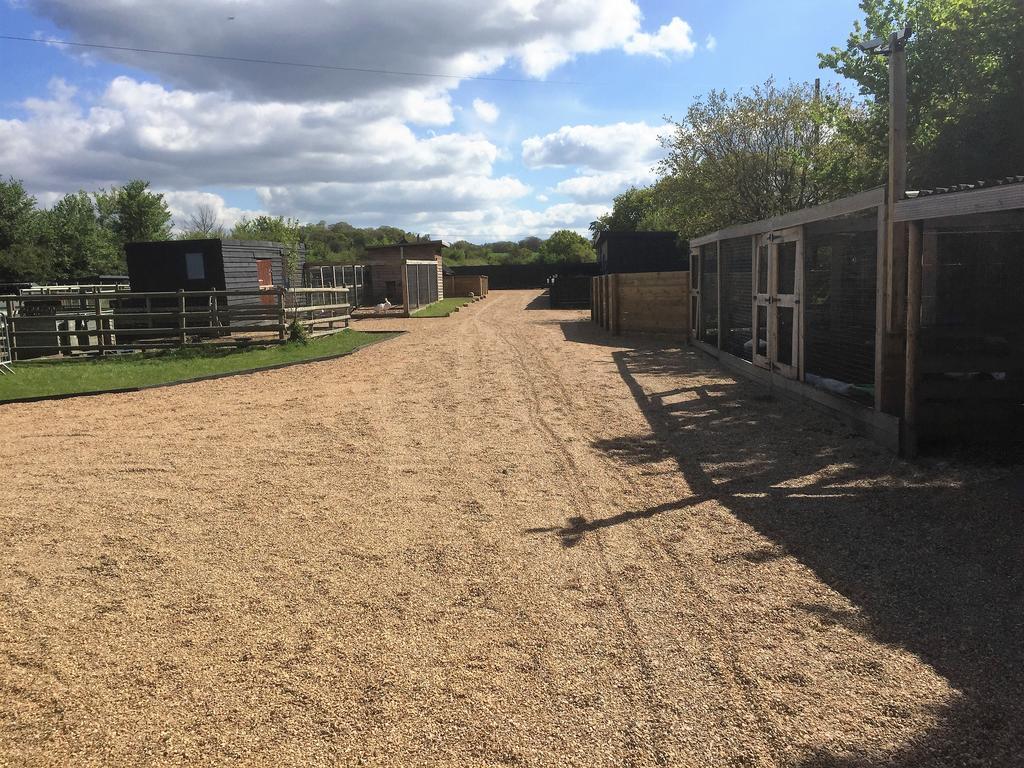 Willow Court Farm The Lodge & Petting Farm, 8 Mins From Legoland & Windsor, 15 Mins From Lapland Uk Extérieur photo