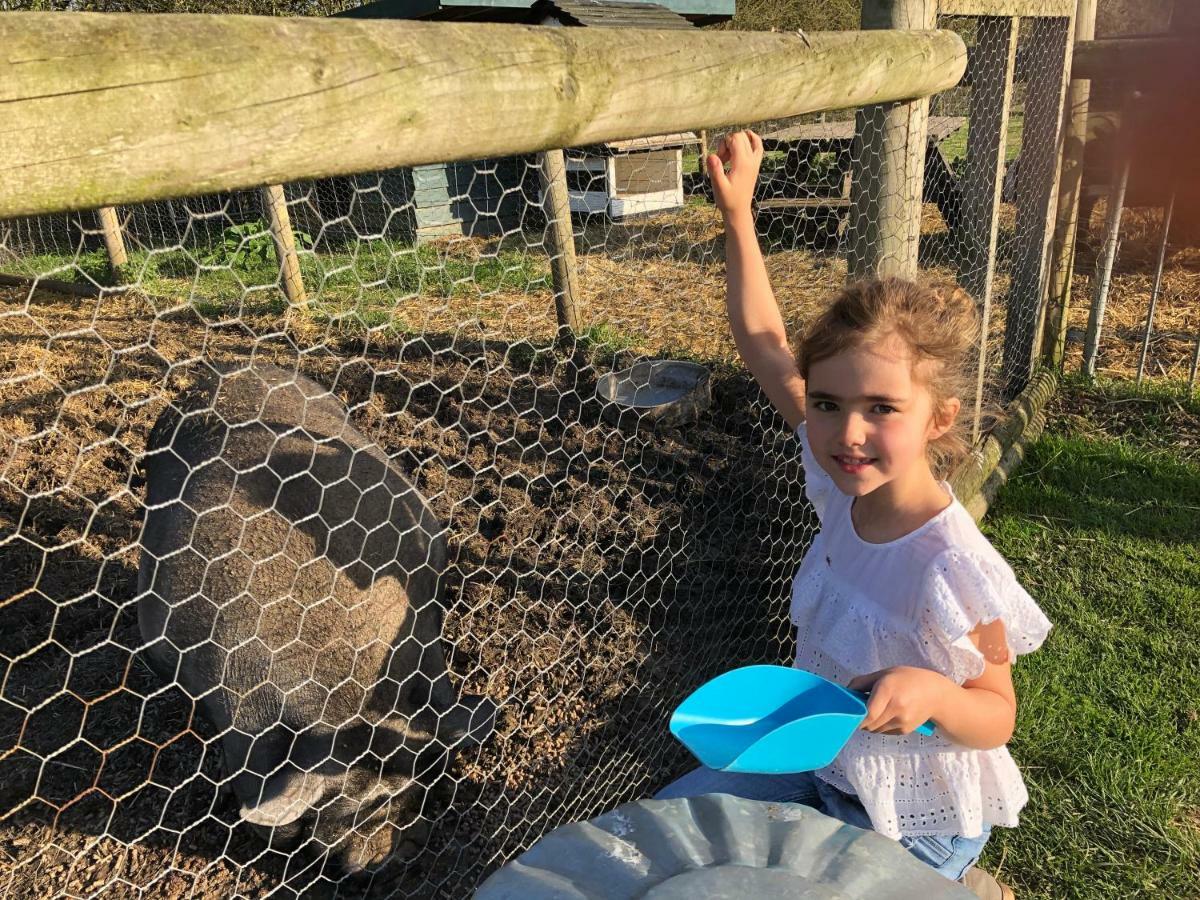 Willow Court Farm The Lodge & Petting Farm, 8 Mins From Legoland & Windsor, 15 Mins From Lapland Uk Extérieur photo