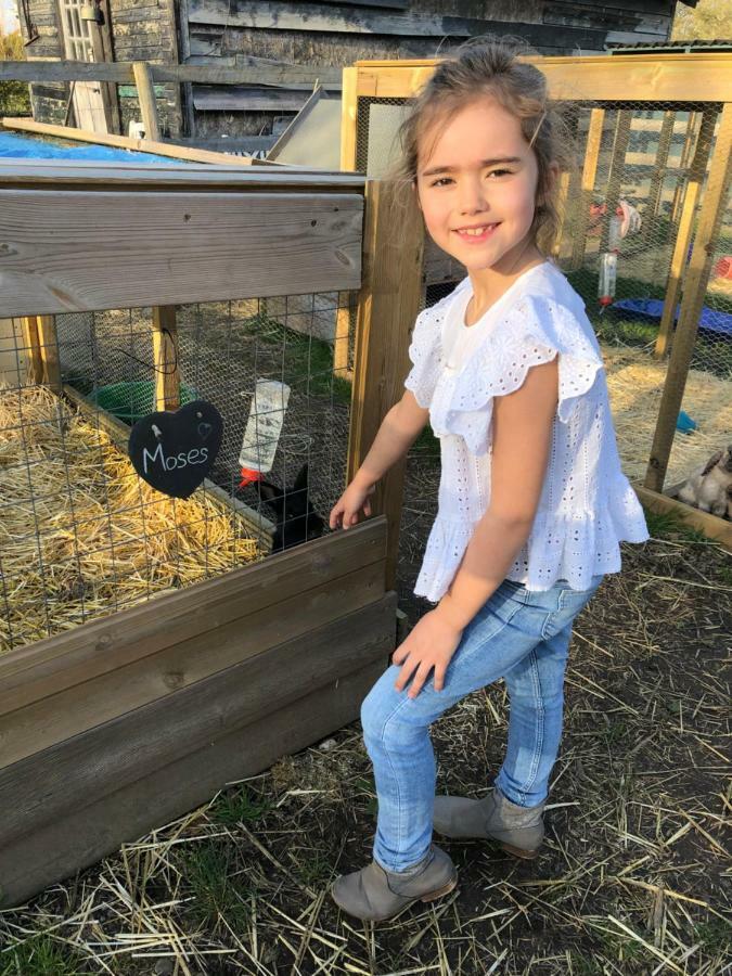 Willow Court Farm The Lodge & Petting Farm, 8 Mins From Legoland & Windsor, 15 Mins From Lapland Uk Extérieur photo
