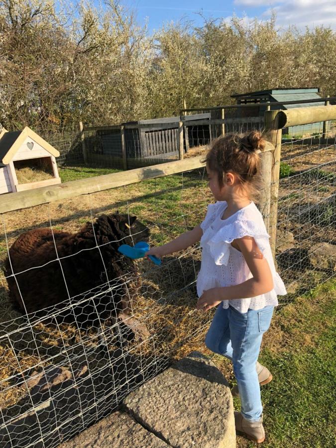 Willow Court Farm The Lodge & Petting Farm, 8 Mins From Legoland & Windsor, 15 Mins From Lapland Uk Extérieur photo